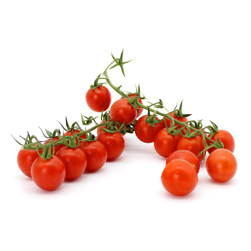 Tomates cherry rama