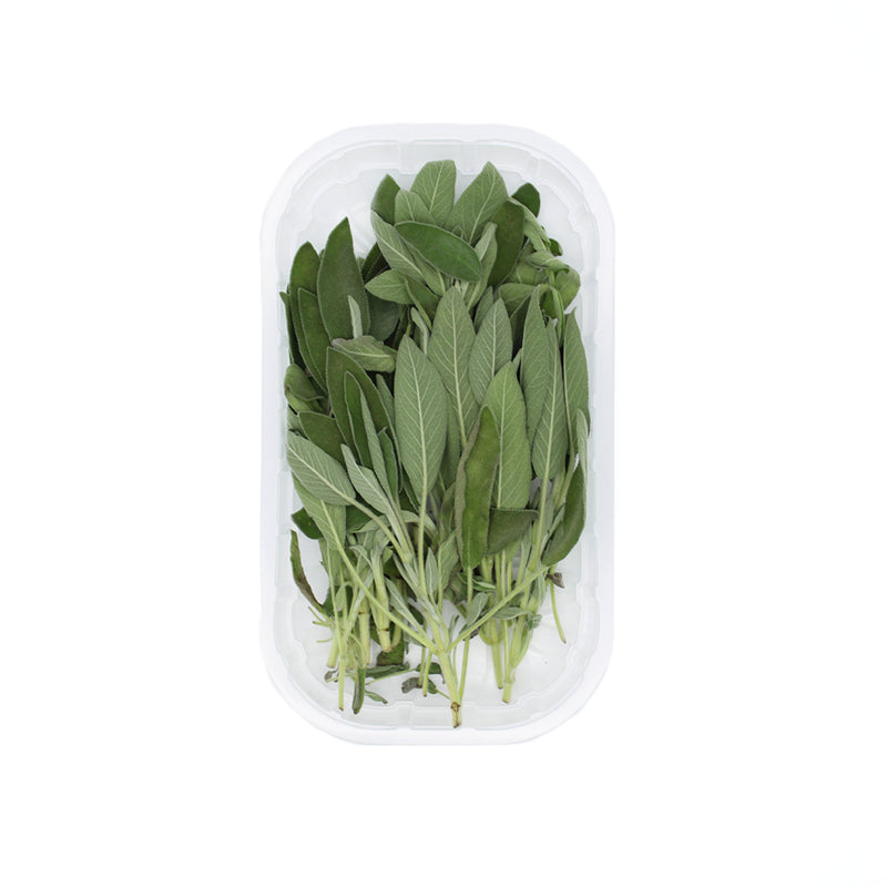 Salvia fresca (bandeja 40g)